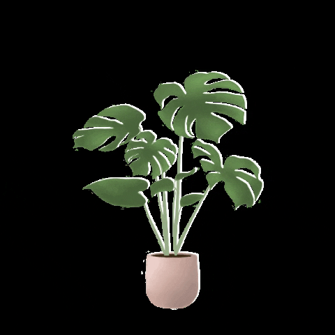 emilywelbers giphygifmaker illustration plant plants GIF