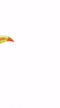 Tucan Currywurst GIF by Smartmediasolutionsgmbh
