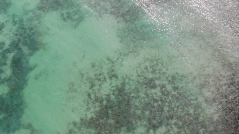 From Above Beach GIF by Chris