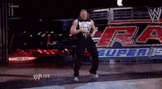 brock lesnar wrestling GIF by WWE