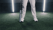 South Carolina Baseball GIF by gamecocksonline