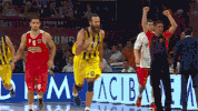 euroleague basketball GIF by EuroLeague