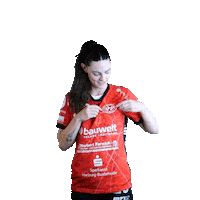 hollenstedt-handball handball liebe vereinsliebe hollenstedt Sticker