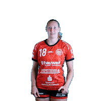 hollenstedt-handball handball jubel freude hollenstedt handball Sticker