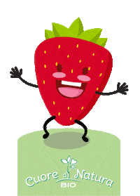 cuoredinatura fragola fragole cuore di natura bio piccoli intenditori Sticker