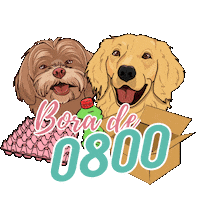Chloez Sticker