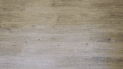 GIF by Val Thorens