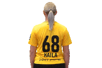 Floorball Salibandy Sticker by F-liiga