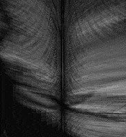 processing p5 GIF by Adam Ferriss