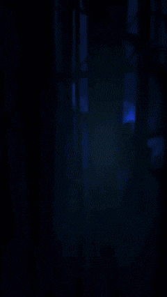 Dragon Ball Horse GIF