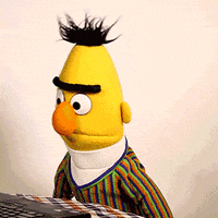 muppetwiki i dont know eyeroll sesame street bert GIF