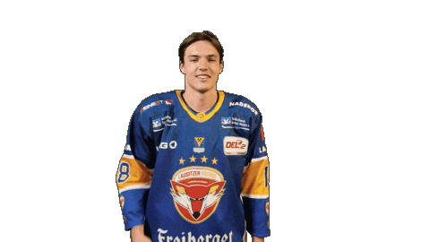 Love Kiss Sticker by Lausitzer Füchse