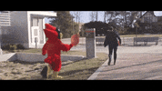 Iowa State Mascot GIF by Iowa State University Foundation