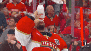 Stanley Cup Playoffs Win GIF by NHL