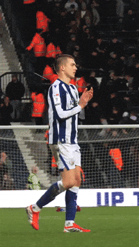 West Brom Wba GIF by West Bromwich Albion
