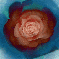 konczakowski beauty blue fall rose GIF