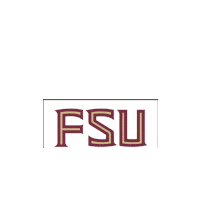 Texas Fsu Sticker by Austin Seminole Club