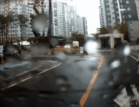 ehdgus1211 giphyupload GIF