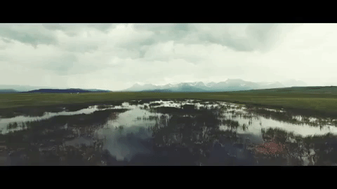 montana GIF