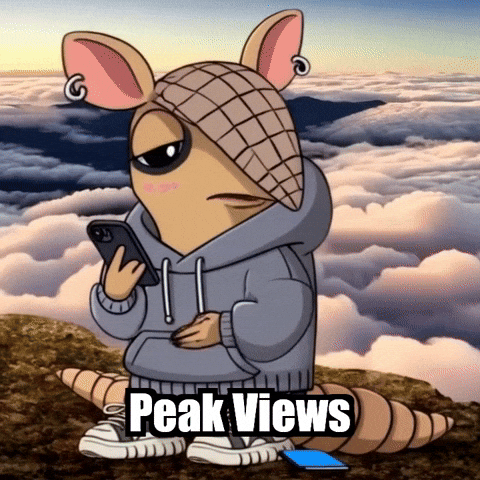 Mountain View GIF by Chillo Dillo