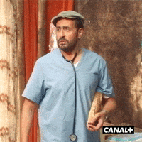 Fun Lol GIF by CANAL+