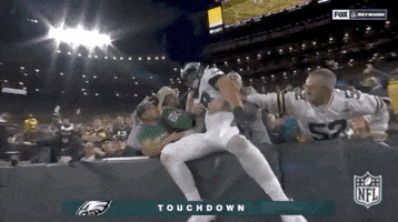 Philadelphia Eagles Football GIF by NFL
