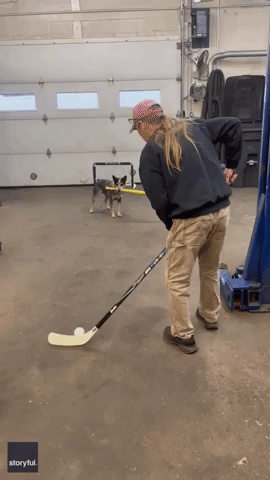 Move Over, Air Bud: Amazing Baseball-Playing Dog Shows Off Batting Skills