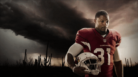 GIF by azcardinals
