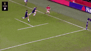 6 nations rugby GIF by Guinness Six Nations