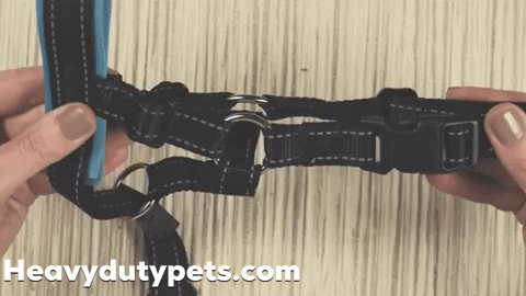 HeavyDutyDogHarness1  GIF