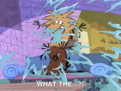 angry beavers nicksplat GIF