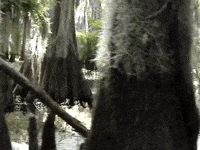 Education Biology GIF by DIIMSA Stock