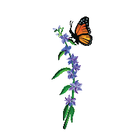 Flowers Sticker by Chobani Mexico