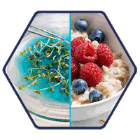 Nutricao Nestle Sticker by Nestlé Health Science