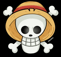 giologyy anime one piece luffy zoro GIF
