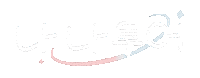세븐틴 Carat Sticker