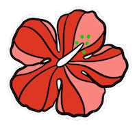 Hawaii Aloha Sticker by ERICA824