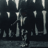 Kurdistan Kurd GIF