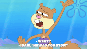 episode 1 GIF by SpongeBob SquarePants