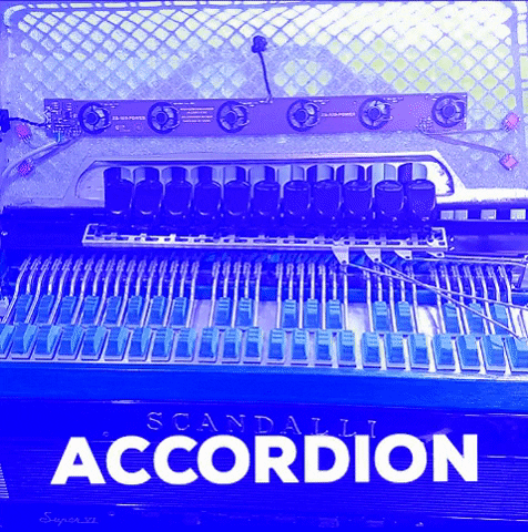 AZSCAPTACOES giphygifmaker accordion acordeon sanfona GIF