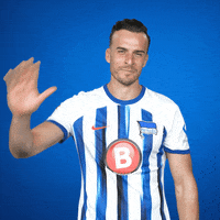 Waving 2 Bundesliga GIF by Hertha BSC