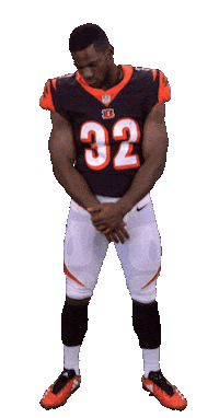 Cincinnati Bengals Stickers Sticker by NFL