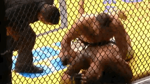ufc 200 ko GIF