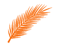 Palm Leaf Fan Sticker by Jungle Social