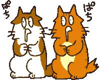 nitinitineruko cat clap applause ねこ Sticker