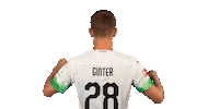 Matthias Ginter Bundesliga Sticker by Borussia Mönchengladbach