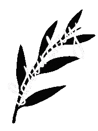 Morning Saturday Sticker