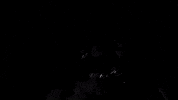 All American F Boy GIF by DUCKWRTH