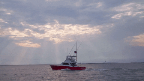 wicked tuna GIF by National Geographic Channel