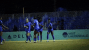 ftl-utd ftl ftl utd ftlutd fort lauderdale united GIF